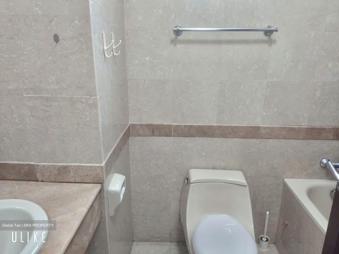 Tanglin Regency (D10), Condominium #601611921
